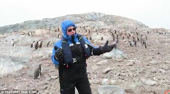 歌唱家南极高歌完毕,发现企鹅宝宝全吓跑了(视)