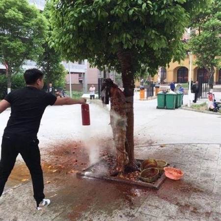 新郎光身被绑树上泼狗血 台媒:闹婚无极限(图)