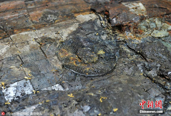 刘贺身高175cm腰挂书刀 腹中食物痕迹震惊当场