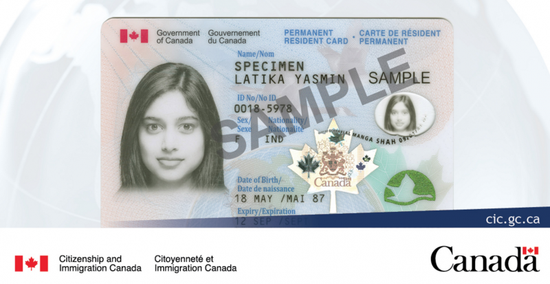 枫叶卡到期怎么办?最全换新攻略!