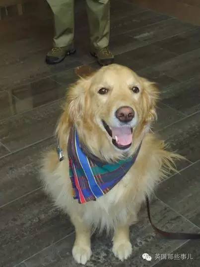 奥兰多枪案没多久 迎来了一支特别小分队...(图)