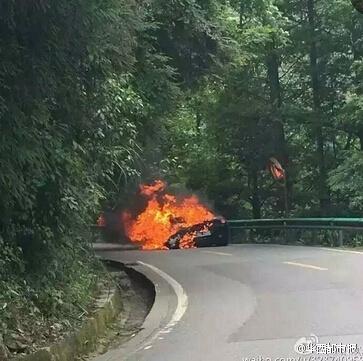 成都一辆价值400万法拉利跑车烧成空架(高清组图)