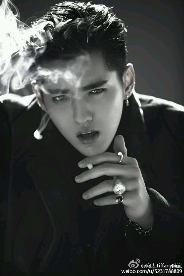 向太声援吴亦凡:下次找外国妞 没心机婊(图)