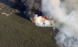 美国新墨西哥州发生山林大火 居民紧急撤离