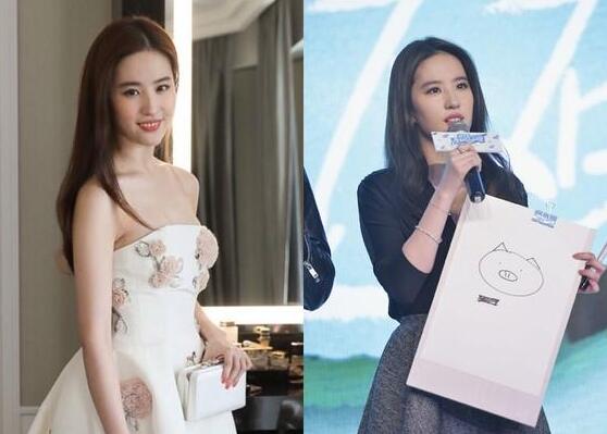 刘亦菲亲口谈遭疯狂粉丝袭击:要相信正能量(图)