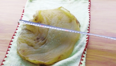 甘肃一工人草坪挖出“太岁” 专家:已有千年(图)