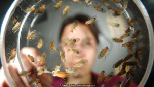 科学家首度发现生命死亡螺旋 可预测死亡(组图)