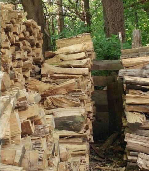 慎点!深夜看了这图 李晨眼睛要瞎了(图)