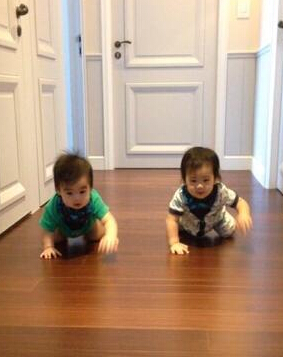 可爱到爆!林志颖双胞胎儿子地上爬讨抱抱(图)