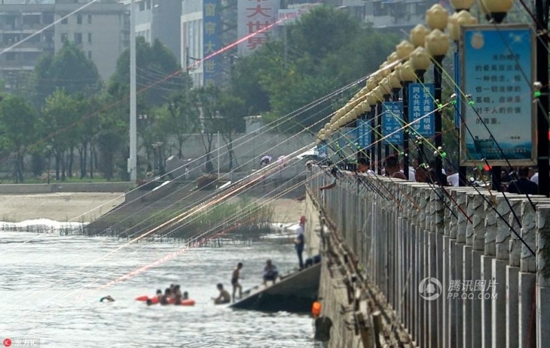 武汉现"鱼窝窝"心急者扒壁悬空捕捞惊心动魄 (图)