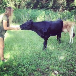 妹子5岁开始徒手抓鳄鱼,目前已抓到100只(组图)