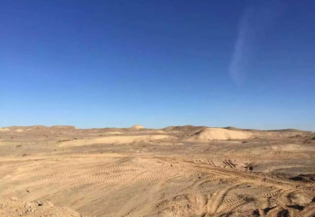 澳洲小哥来新疆 只为寻找曾陪他跑马拉松的小狗