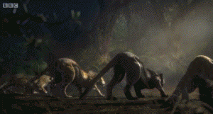 开幕式解说三国对比，英美人民表示被坑哭(组图)