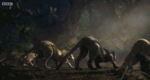 开幕式解说三国对比,英美人民表示被坑哭(组图)