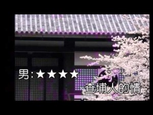 男人情女人心MIDI伴奏KTV