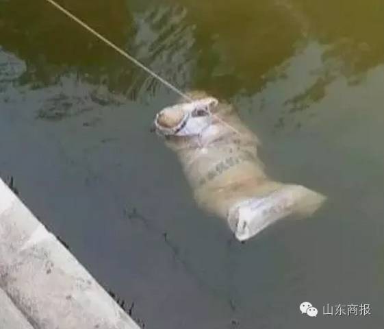 令人发指!男子不满管束杀死父母 抛尸南水北调渠