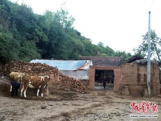 甘肃农妇杀四子追踪：村主任解释为何取消其低保