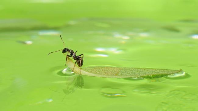 热帖:我在中国最魔幻的组织中卧底20天(图)