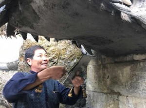 浙江大叔用10年把自家小院打造成"私家园林"(图)