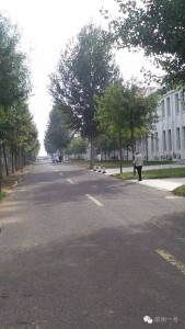 山东平度纵火案被告被执行死刑 自称系替死(图)