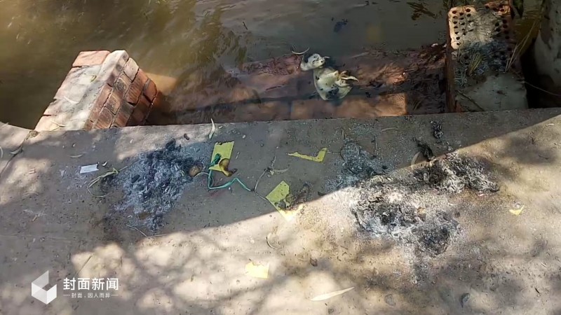 区委副书记游泳与快艇相撞遇难续:肇事者被立案