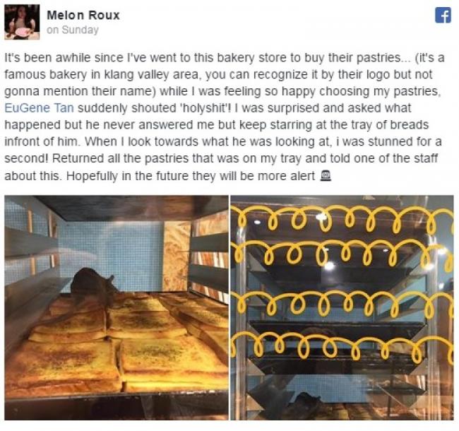 马来西亚面包店惊现老鼠 又黑又大!(图)