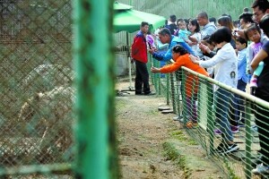 八达岭被虎咬女子：我下车不对 但园方要负七成责