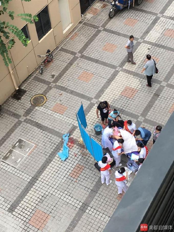 感人!深圳孕妇半路产子 危机时刻医生用嘴吸羊水