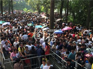 四川乐山：游客排队三小时 才看到大佛的耳朵(图)