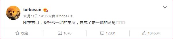 把羊屎当蓝莓？孙俪跟邓超画风越来越像了…(图)