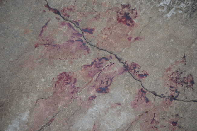 洛杉矶男尸确认系华人 水道血迹犹在 蜿蜒数十米