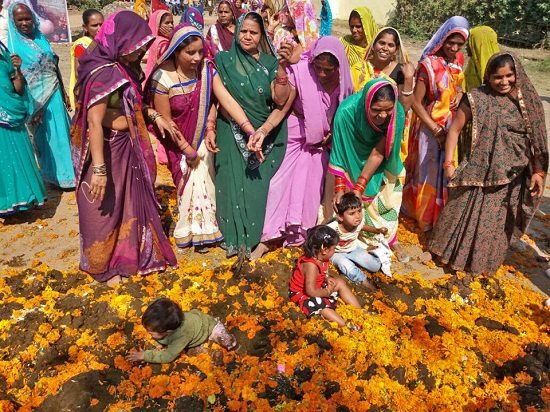 印度奇葩节日:让孩子沾牛粪求好运(组图)