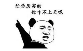 女司机超速酒驾:少个前轮仍逆行26公里(图)