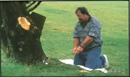 杰德·鲁本菲尔德：“骗炮”为什么不是强奸(组图)