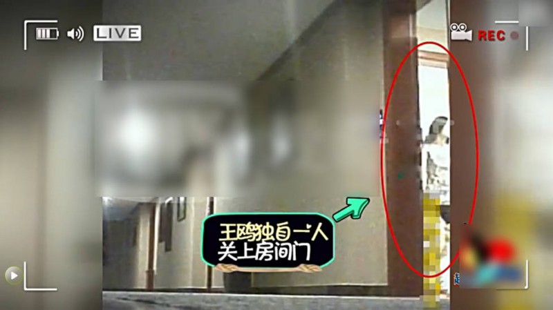王鸥刘恺威房间密会 王鸥关门时只穿黑内裤(图)