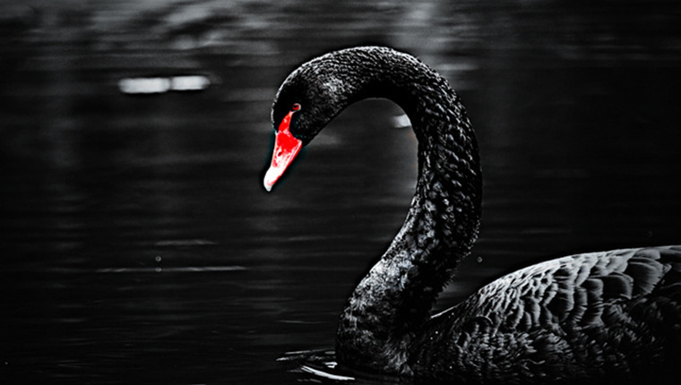 伦敦黑天鹅基金扬言:市场还有25%的跌幅空间?