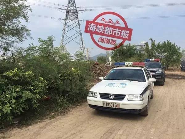 厦门:动物园老虎跑离猛兽区 大批特警出动 (图)