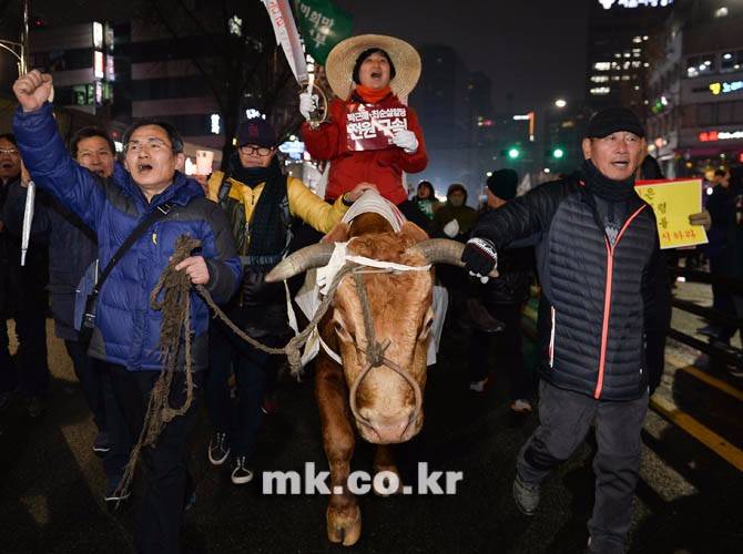说好的第5轮抗议朴槿惠游行!结果变成了演唱会