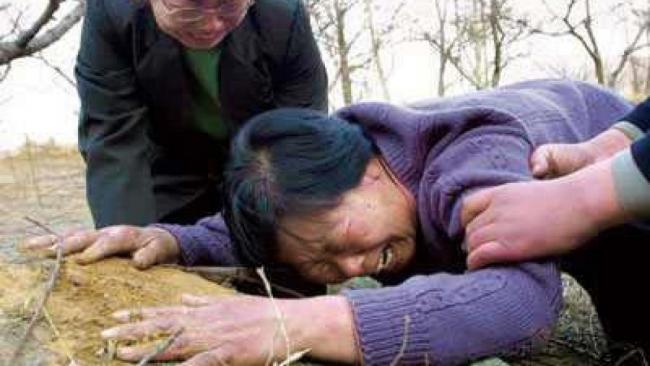 聂树斌母亲立嘱:死后要与儿子合葬(图)