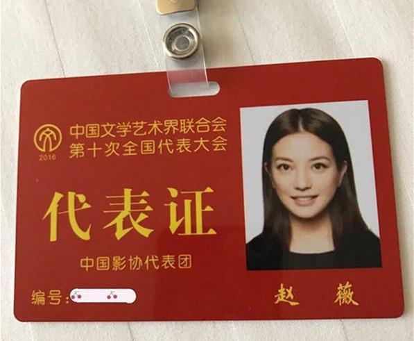 人民大会堂前所有明星都被打回原形 只有鲁豫...