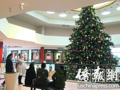 在美陪读中国母亲的世界:丈夫出轨 与儿相依为命