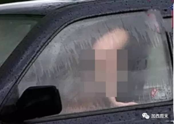 温哥华本年度10大奇葩新闻回顾!看完我惊呆了