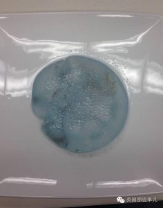 海滩上离奇出现隆胸硅胶 这小哥的脑洞里全是戏