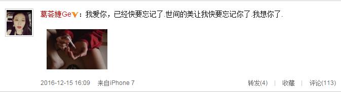 这回不是骂汪峰!葛荟婕:我爱你,我想你了(图)