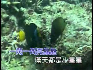 儿歌 小星星KTV
