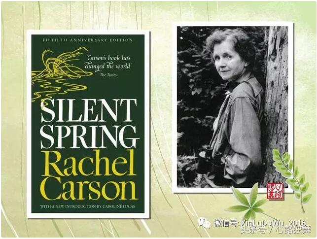 热帖:美国今天的无污染环境,从这本书开始