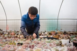 金融硕士返乡卖多肉年入40万 50天赚大学4年学费