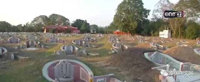 泰国华裔过年在坟场放电影给祖先看 已坚持50年