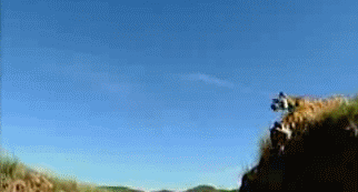 老虎有多猛,看完这几幅图就知道了(组图)