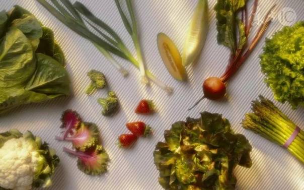 健康热帖:老人常吃1种蔬菜 102岁拥有30岁器官!